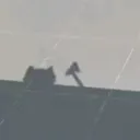 睡覺中