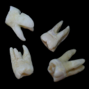 rottendotcom Discord server icon