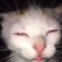 The Weirdos Discord server icon