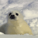 ¢υтєѕу𐙚⋆.˚⋆.˚-Art- Discord server icon