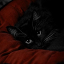 /sybau | Social・VC • SFW • Gwys・Gaming・Chill・Active • Events icon