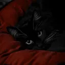 /sybau | Social・VC • SFW • Gwys・Gaming・Chill・Active • Events