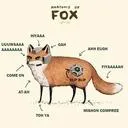 PM Fox Discord
