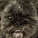 Multicolored fandom barf Discord server icon