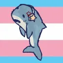 🦈👑SHARKS👑🦈