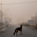 The Lost Packs Discord server icon