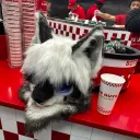 Crimsons Furry Den