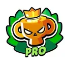 BrawlPro  | Cheap Boosting