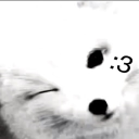 𝔴𝔬𝔩𝔣 𝔭𝔞𝔠𝔨 Discord server icon