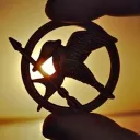 District 12