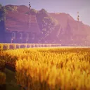 Verdant Network
