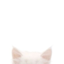 ݁.݁sl𑣲mbr⋅ Discord server icon