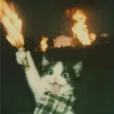 ℭ𝔞𝔰𝔲𝔞𝔩 ℭ𝔥𝔞𝔬𝔰