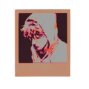 (  🗞  )   ༝      𝕽𝐄𝐐𝐔𝐈𝐄𝐌     ⌢
