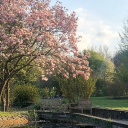 vel's community Discord server icon