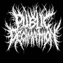 Public Decimation Discord server icon