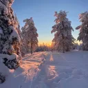 Seekers of the Divine