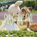 ˖ ᡣ𐭩 /waffuhls