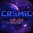 Cosmic SMP