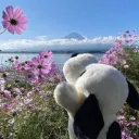 𝘔𝘦𝘯𝘵𝘢𝘭 𝘌𝘤𝘴𝘵𝘢𝘴𝘺.ᐟ
