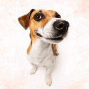 Discovery icon for Tweakbreak Discord server