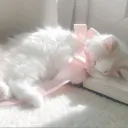 ❣.·:*¨¨*:·.❣ ṭһє Lѧċє Lȏuņgє ❣.·:*¨¨*:·.❣ Discord server icon