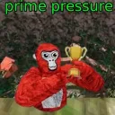 Prime Pressure