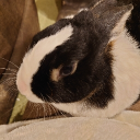 創作のための井戸端集会 Discord server icon