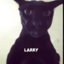 project larry