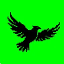 BIRDS OF WAR