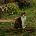 hermit hole Discord server icon