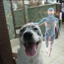 SpideyArancio | Crono labs