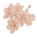 for     good     .˚○ • Discord server icon