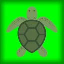 Turtle's Aquarium