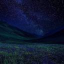 Stellaris