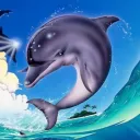 Ecco the Dolphin