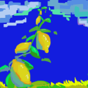 Lemons Are Amazing