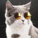 The Shrouded Legacy Discord server icon