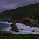 🪶 Tickled Pink 🪶 discord icon