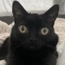 Blep!