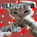 ⭑𖦹ᴇʟʟɪᴏᴛᴛ'ꜱ ɢᴀɴɢ𖦹⭑