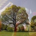 The pArk; REVIVAL Discord server icon