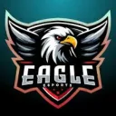 EAGLE x DR ESPORTS 🇮🇳
