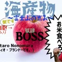 色んなことをしてるサーヴァー