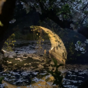 ₊˚⋆ 𐦍 Glimmervine 𐦍 ⋆˚₊ Discord server icon