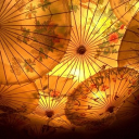 ꜱʜɪᴘᴘᴇᴅ! Discord server icon