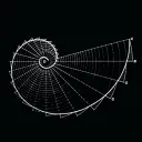 The Continuum