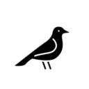 BirdAir | PTFS