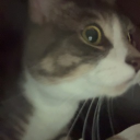 Da server Discord server icon