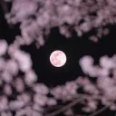 月に雁